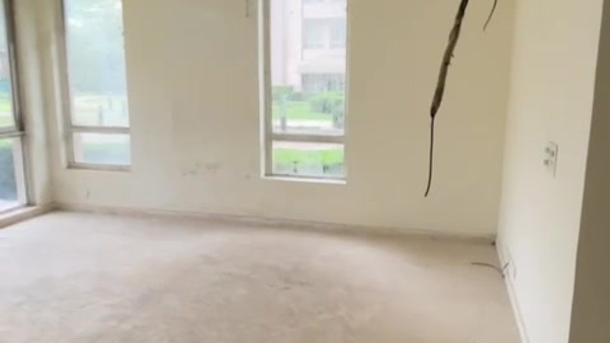 An empty living room with bare cream walls, two tall windows, and an unfinished floor.