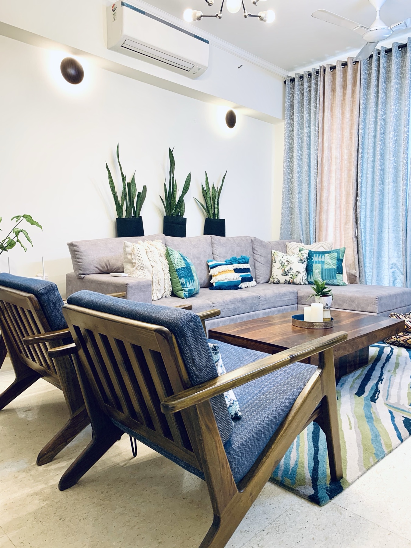 A living room with a grey corner sofa, three snake plants on the ledge behind it, and two wooden armchairs with blue cushions.